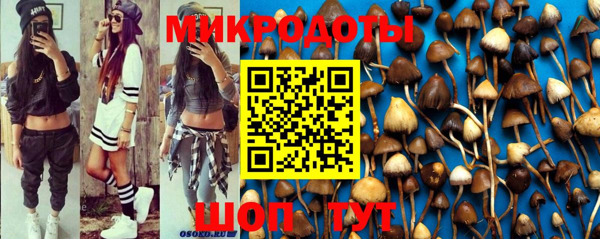 Псилоцибиновые грибы мухоморы Новокубанск