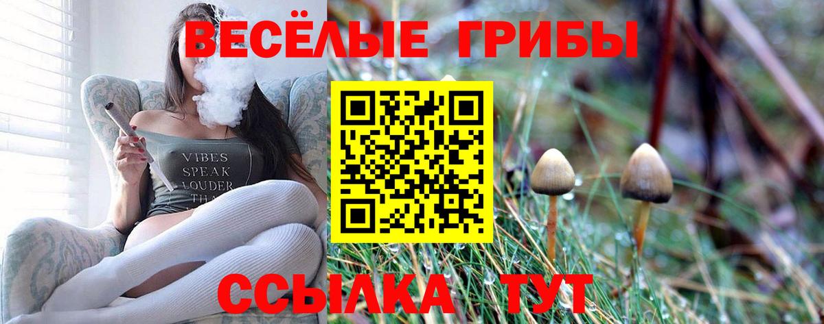Новокубанск  Галлюциногенные грибы Magic Shrooms  Галлюциногенные грибы прущие грибы  Вход с VPN 